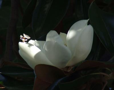 Прикрепленное изображение: 001.jpg